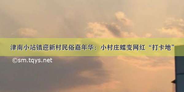 津南小站镇迎新村民俗嘉年华：小村庄蝶变网红“打卡地”