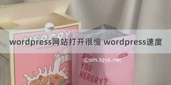 wordpress网站打开很慢 wordpress速度