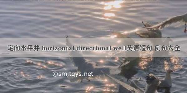 定向水平井 horizontal directional well英语短句 例句大全