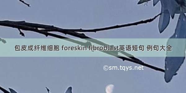 包皮成纤维细胞 foreskin fibroblast英语短句 例句大全