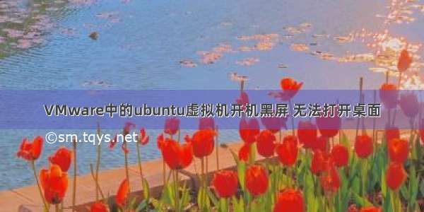 VMware中的ubuntu虚拟机开机黑屏 无法打开桌面