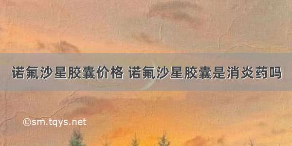 诺氟沙星胶囊价格 诺氟沙星胶囊是消炎药吗