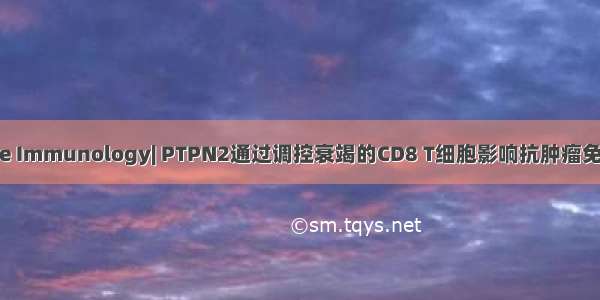 Nature Immunology| PTPN2通过调控衰竭的CD8 T细胞影响抗肿瘤免疫反应