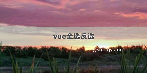 vue全选反选