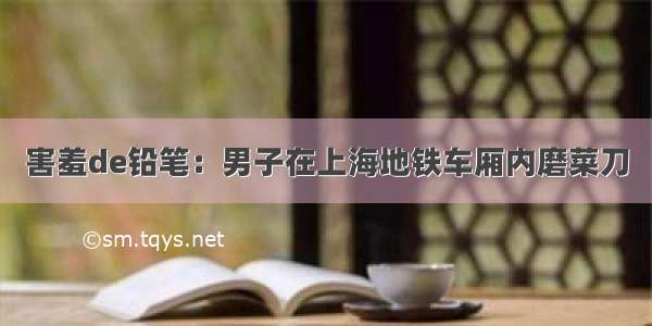 害羞de铅笔：男子在上海地铁车厢内磨菜刀