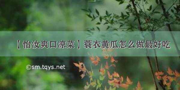 【怡汝爽口凉菜】蓑衣黄瓜怎么做最好吃