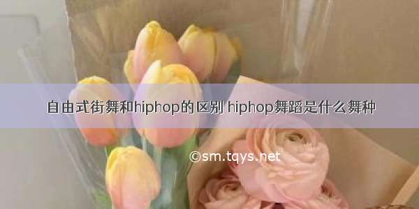 自由式街舞和hiphop的区别 hiphop舞蹈是什么舞种