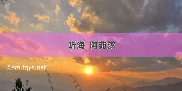 听海  阿茹汉