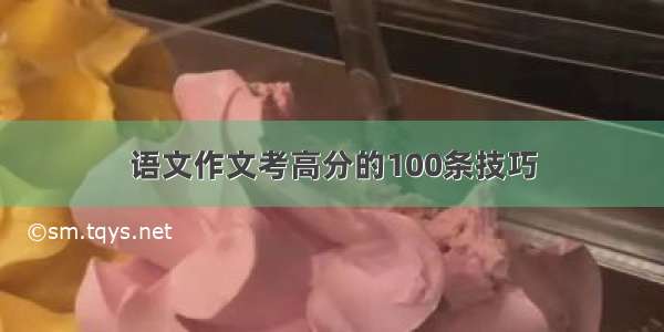 语文作文考高分的100条技巧