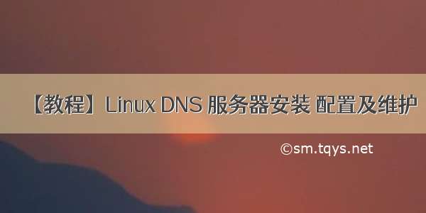 【教程】Linux DNS 服务器安装 配置及维护