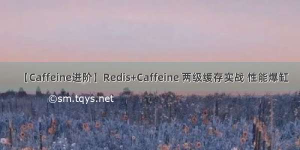 【Caffeine进阶】Redis+Caffeine 两级缓存实战 性能爆缸