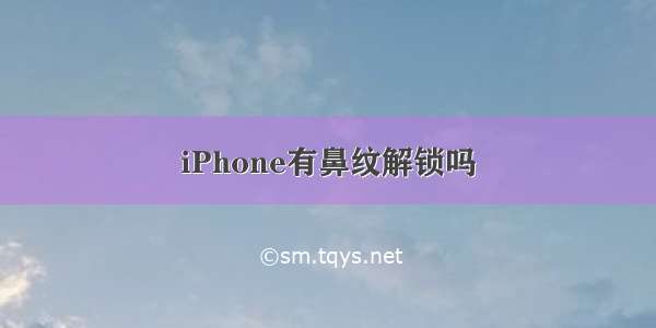 iPhone有鼻纹解锁吗