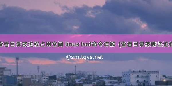 linux查看目录被进程占用空间 linux lsof命令详解  (查看目录被哪些进程占用）