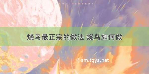 烧鸟最正宗的做法 烧鸟如何做