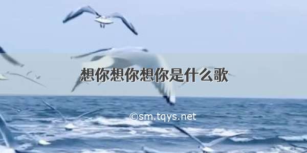 想你想你想你是什么歌