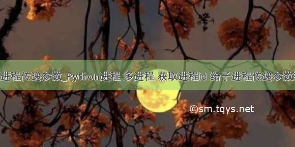 python多进程传递参数_Python进程 多进程 获取进程id 给子进程传递参数操作示例...