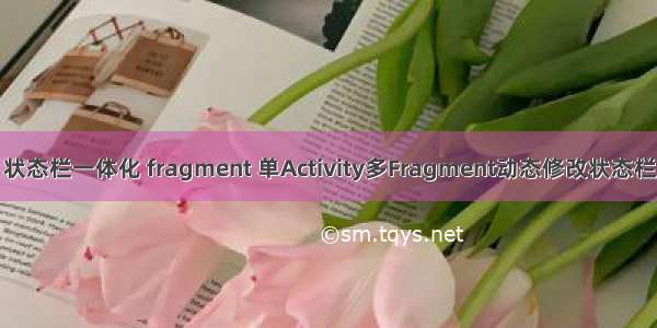 android 状态栏一体化 fragment 单Activity多Fragment动态修改状态栏颜色功能