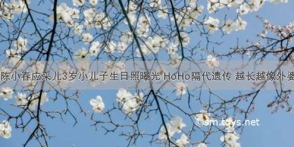 陈小春应采儿3岁小儿子生日照曝光 HoHo隔代遗传 越长越像外婆