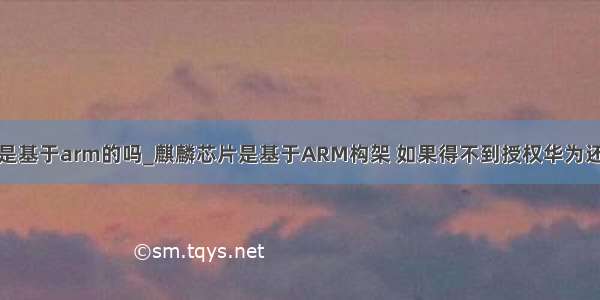 麒麟处理器是基于arm的吗_麒麟芯片是基于ARM构架 如果得不到授权华为还能活吗？...