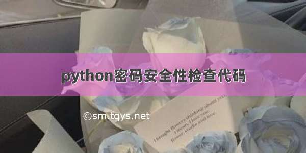 python密码安全性检查代码