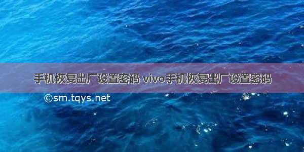 手机恢复出厂设置密码 vivo手机恢复出厂设置密码