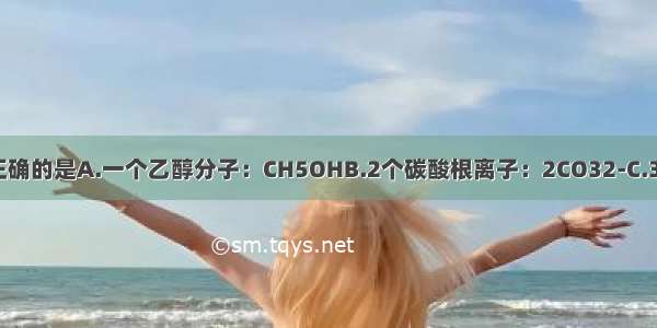 下列化学符号正确的是A.一个乙醇分子：CH5OHB.2个碳酸根离子：2CO32-C.3个亚铁离子：3