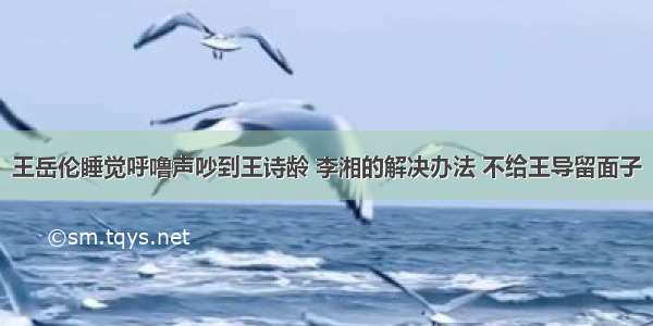 王岳伦睡觉呼噜声吵到王诗龄 李湘的解决办法 不给王导留面子