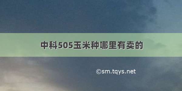 中科505玉米种哪里有卖的