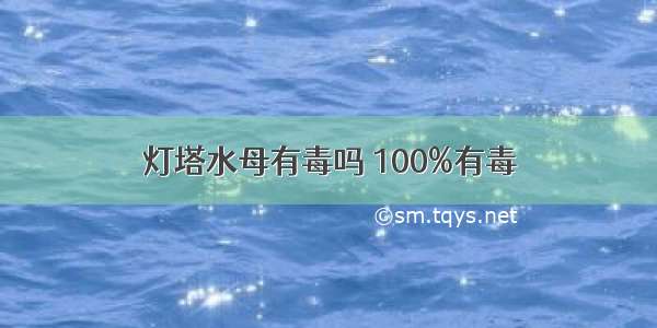 灯塔水母有毒吗 100%有毒