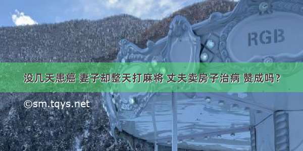 没几天患癌 妻子却整天打麻将 丈夫卖房子治病 赞成吗？