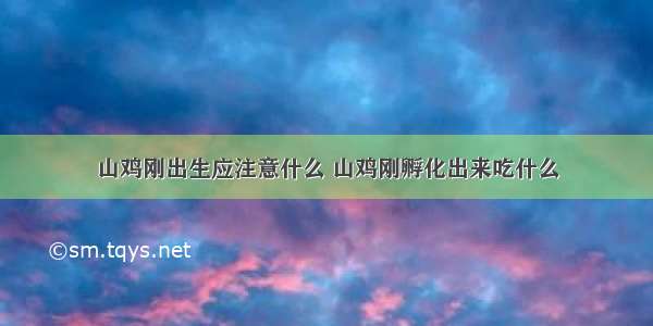 山鸡刚出生应注意什么 山鸡刚孵化出来吃什么