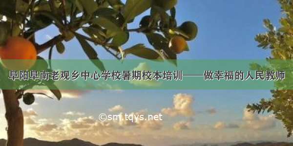 阜阳阜南老观乡中心学校暑期校本培训——做幸福的人民教师