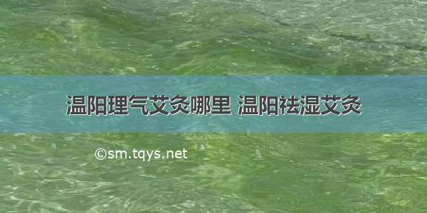 温阳理气艾灸哪里 温阳祛湿艾灸