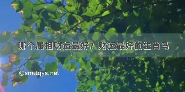 哪个属相财运最好？财运最好的生肖马