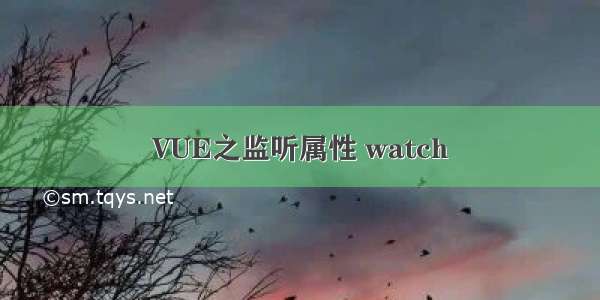 VUE之监听属性 watch