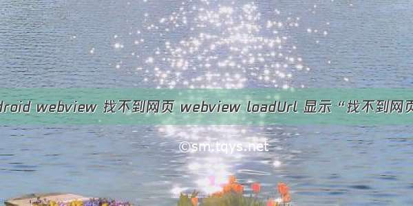 android webview 找不到网页 webview loadUrl 显示“找不到网页”