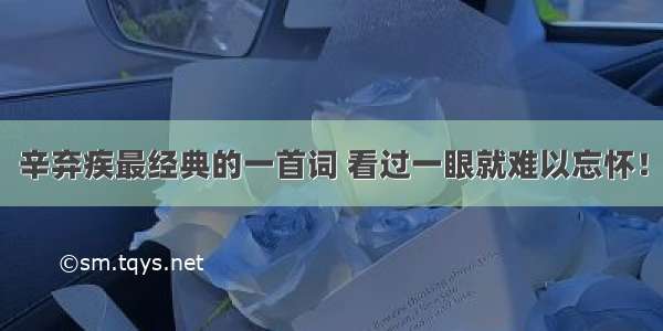 辛弃疾最经典的一首词 看过一眼就难以忘怀！