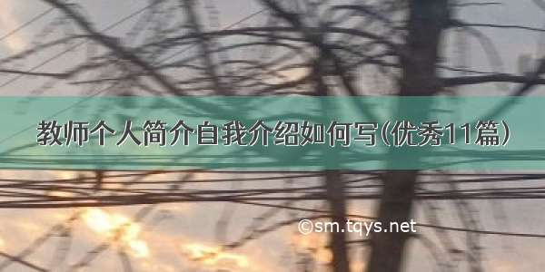 教师个人简介自我介绍如何写(优秀11篇)