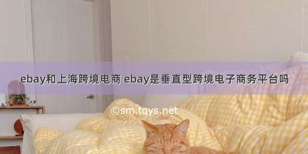 ebay和上海跨境电商 ebay是垂直型跨境电子商务平台吗