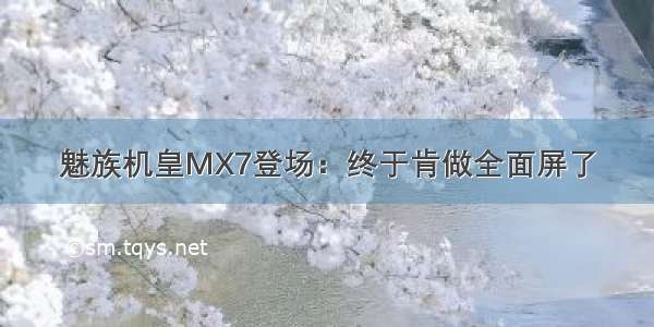 魅族机皇MX7登场：终于肯做全面屏了