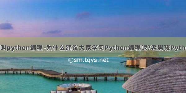 为什么叫python编程-为什么建议大家学习Python编程呢?老男孩Python入门