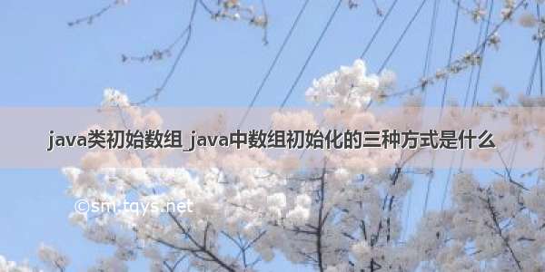 java类初始数组_java中数组初始化的三种方式是什么