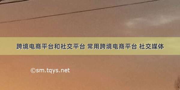 跨境电商平台和社交平台 常用跨境电商平台 社交媒体