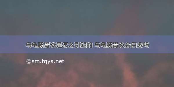 乌龟肠胃炎是怎么引起的 乌龟肠胃炎会自愈吗