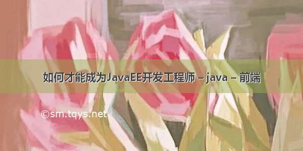 如何才能成为JavaEE开发工程师 – java – 前端