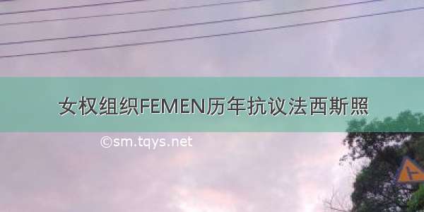 女权组织FEMEN历年抗议法西斯照