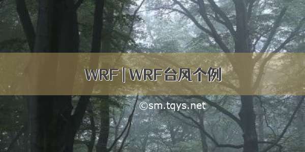 WRF | WRF台风个例