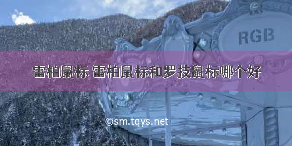 雷柏鼠标 雷柏鼠标和罗技鼠标哪个好