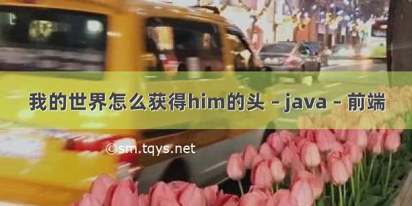 我的世界怎么获得him的头 – java – 前端