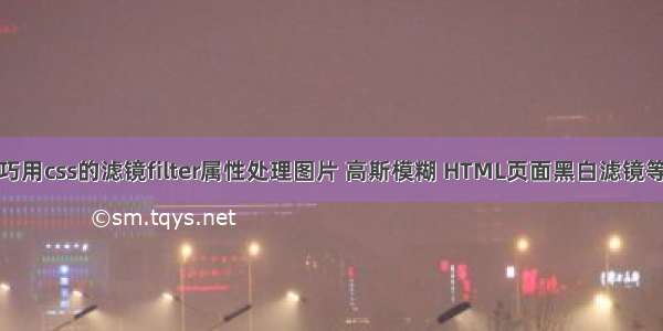 巧用css的滤镜filter属性处理图片 高斯模糊 HTML页面黑白滤镜等